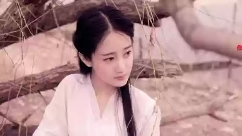 皇族百年无女的小说(王府千年无女生五胞胎的小说)