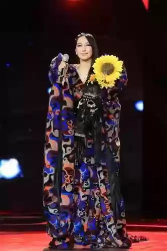民族风阵容(风主平民最强阵容搭配)插图25