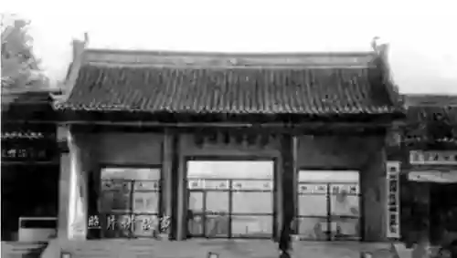 精狮篮球 阵容(篮球五小阵容怎么打)插图3