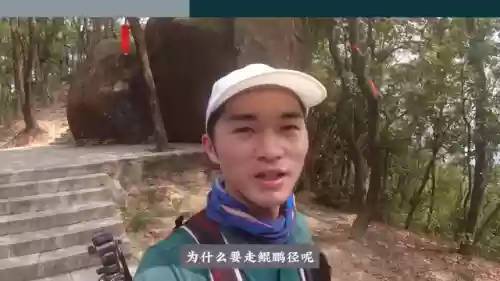 1022云顶阵容(云顶之弈s2阵容合集)插图1