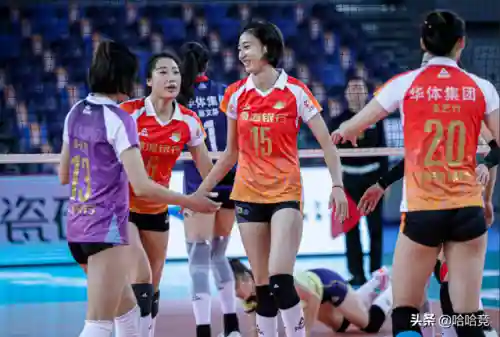 江苏与天津女排阵容(女排八强全部名单)插图2