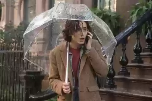 纽约一个雨天阵容(雨天队最强配置)插图4