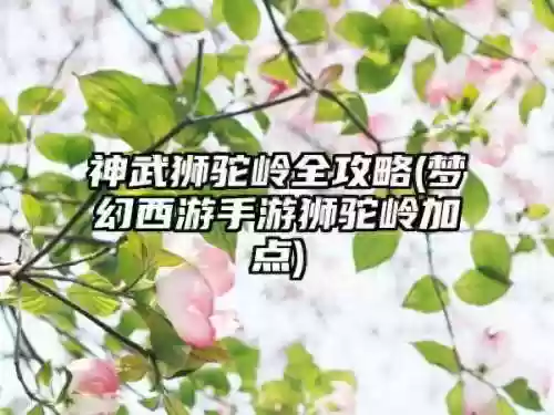 神武竞技狮子阵容装备(神武手游竞技场排行第一)