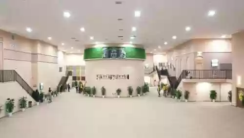 疯狂的麦咭怪兽密室(疯狂的麦咭被石怪吃了会到哪)插图1 疯狂的麦咭怪兽密室(疯狂的麦咭被石怪吃了会到哪)插图1