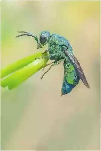 时空秘境银联杀手阵容推荐(银河掠夺者最强阵容)插图24