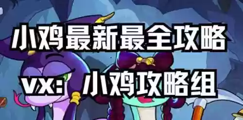 阵容搭配与装备选择的原则(王者阵容搭配需要注意什么)