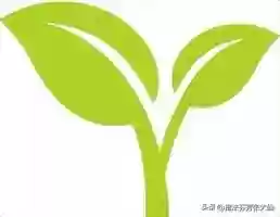 脆皮阵容推荐(蜀盾最强阵容搭配)