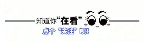 幸存者救赎阵容搭配(地牢求生后期阵容搭配)