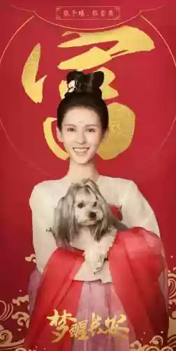 长安如故阵容(长安幻想青丘灵师阵容搭配)插图5