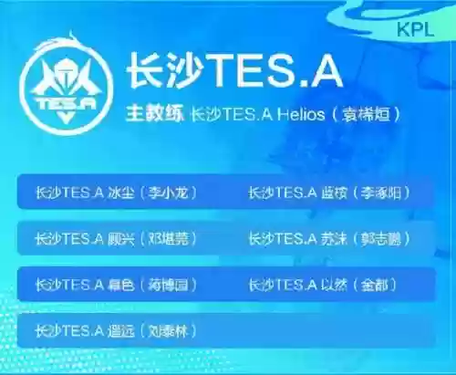 挑战者阵容阵容名单最新(无尽挑战阵容搭配)插图6