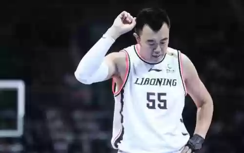 辽篮全华班内线阵容搭配(中职篮全力以赴阵容推荐)