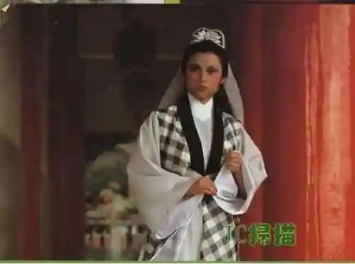 老版神雕侠侣83版电视剧(神雕侠侣83版免费观看粤语)插图58