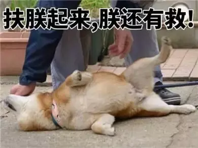 魔镜物语光年兽阵容(魔镜物语大后期阵容推荐)插图5