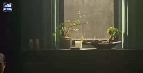 西部世界第一季德妹第几集做(西部世界德妹和威廉多少集)插图13 西部世界第一季德妹第几集做(西部世界德妹和威廉多少集)插图13