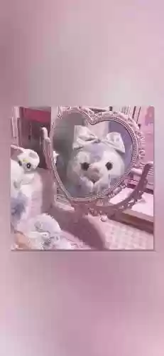 卡通兔子图片(小兔子的简笔画)插图56