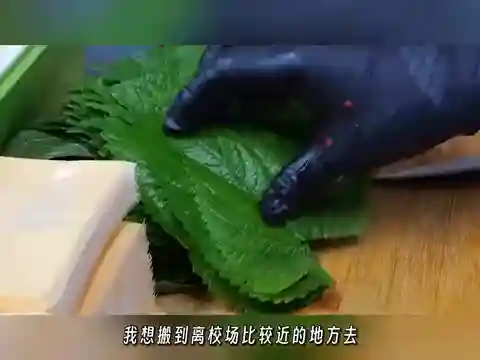 横扫千军克制凤月阵容(横扫千军关凤配阵容详解)插图5