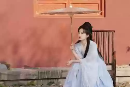 随机选择身份入宫的游戏(与深宫曲同类型的游戏)插图8