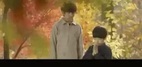 窥探主演阵容(窥探中人物关系表)插图5