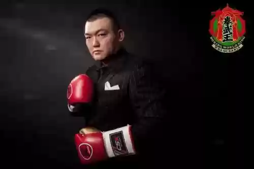 中国拳王第一名是谁(中国拳击手前十排名)插图13
