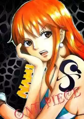 海贼王娜美是什么身份(海贼王娜美全名叫什)插图3
