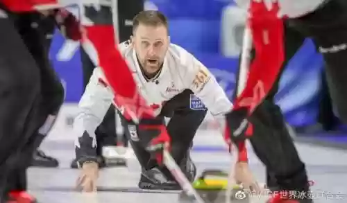 平昌冬奥会冰壶阵容成绩(平昌冬奥会冰壶女子决赛)插图1