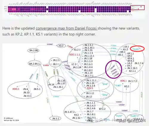 变异战士阵容装备2022(dnf合金战士2024毕业套装)插图1