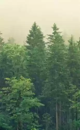 精美壁纸手机高清图片(精美壁纸动漫 二次元男生帅气)插图3
