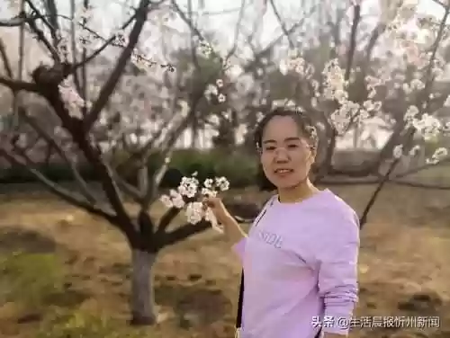 忻州附中初中老师阵容介绍(忻州实验和附中哪个好)插图37