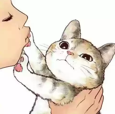 搞笑阵容头像(搞笑头像图片 逗比)插图107