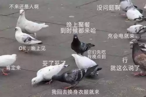真三国无双五双人联动阵容(真赵云无双最佳阵容)