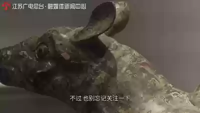 神兽是什么意思(神兽在家文案幽默句子)插图1