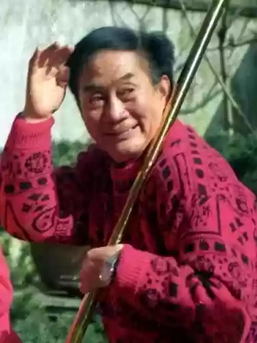 不坑爹的五个星二代阵容(金灿灿福星版本哪个阵容最强)插图7