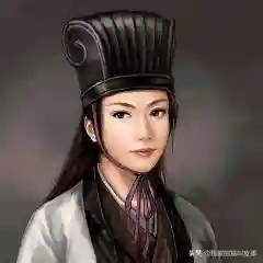 三国人妻妾阵容攻略(三国娶妻纳妾游戏)插图3