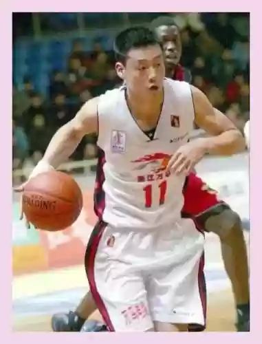 北京阵容十大高手排名(北京的社会大哥都有哪些)插图9
