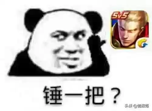 忍者猫工作室(忍者猫解散了吗)插图26