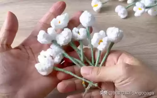 满天星花束(满天星花语及寓意)插图16
