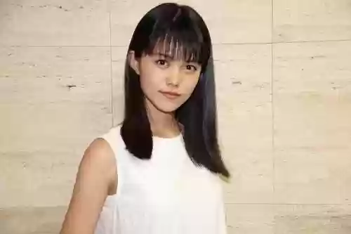 龙樱 阵容(打胧车最佳阵容2021)插图10
