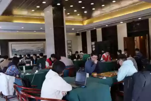 英雄联盟女子围棋队阵容(lol最新下棋阵容最新搭配)