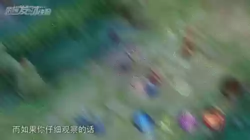 王者荣耀段位等级表2022(王者段位一览表)插图12