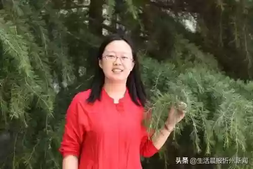 忻州附中初中老师阵容介绍(忻州实验和附中哪个好)插图21