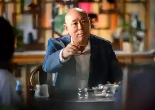 电视剧盛装的演员阵容(我哥我嫂电视剧演员表)插图11