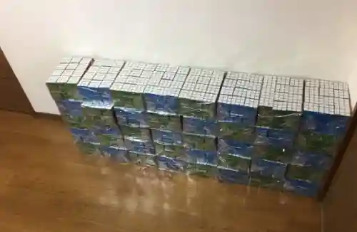 魔方世界宠物(魔力宝贝宠物大全图鉴)