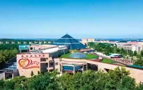 南山派阵容(六道之门香行域阵容)