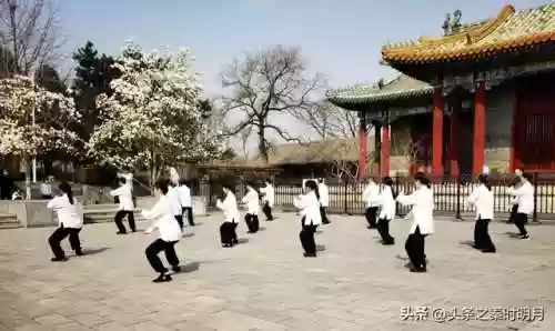 秦时明月手游公益服(秦时明月手游无限元宝满v版)插图10 秦时明月手游公益服(秦时明月手游无限元宝满v版)插图10