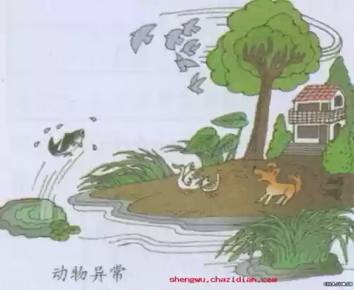 地震前三分钟预兆(大地震前会频繁小震吗)插图2