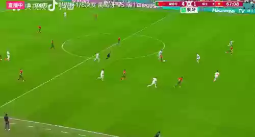 葡萄牙阵容跟瑞士阵容对比(西班牙国家队最新阵容)插图11