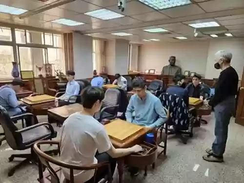 英雄联盟女子围棋队阵容(lol最新下棋阵容最新搭配)插图3