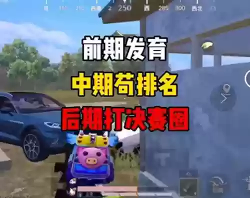 和平精英最强双排阵容排名(和平精英双排上分最佳打法)插图4