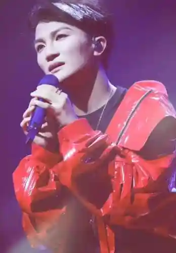 中国好声音阵容搭配男生(中国好声音组合有哪些)插图12