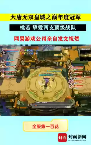 大唐无双论坛纵横天下(大唐无双第一土豪桃若)插图5